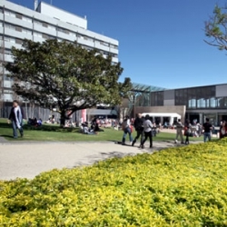 About Sustainability in Engineering Education